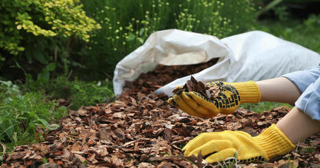 Paillage inversé : une révolution pour économiser l'eau et booster vos plantes | Attitude BIO | Scoop.it