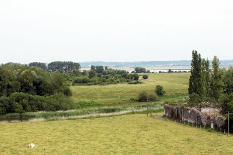 Nature : Laissez-vous guider dans l'Estuaire de Seine | Une semaine d'actu - Newsletter de veille de l'AURH | Scoop.it