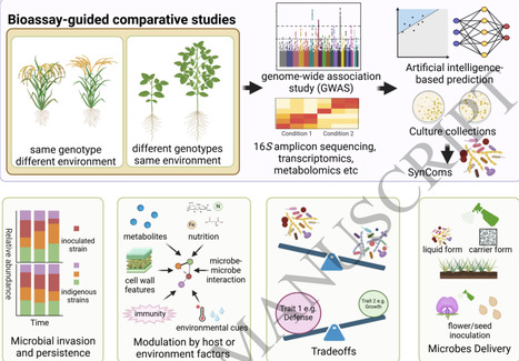 Potential and challenges for application of microbiomes in agriculture | tpc | RMH | Scoop.it