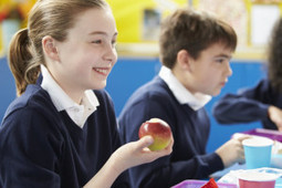 Doctors want Scots pupils to get free fruit and vegetables | In the news: data in the UK Data Service collection across the web | Scoop.it