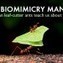 Biomimicry : What Can Leaf-Cutter Ants Teach Us About Farming? | Rainforest CLASSROOM | Scoop.it