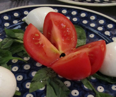 Florence Vacations - A few restaurant suggestions | Rome Florence Venice Vacations | Scoop.it