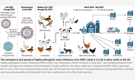 Emergence and Interstate Spread of HPAI A(H5N1) in Dairy Cattle in the United States - Science | Virus World | Scoop.it