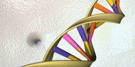 Science: des chercheurs am&eacute;ricains modifient l'ADN d'une bact&eacute;rie | Microbiologie | Scoop.it