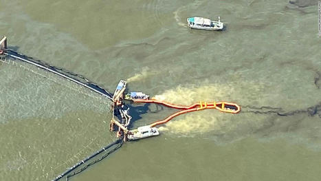 Golden Ray shipwreck: 2019 shipwreck off Georgia's Jekyll Island is leaking oil /&nbsp; le 01.08.2021 | Pollution accidentelle des eaux (+ d&eacute;chets plastiques) | Scoop.it