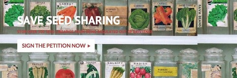 SELC and Shareable Kickoff Campaign to Save Seed Sharing in the U.S. | P2P Foundation | Peer2Politics | Scoop.it