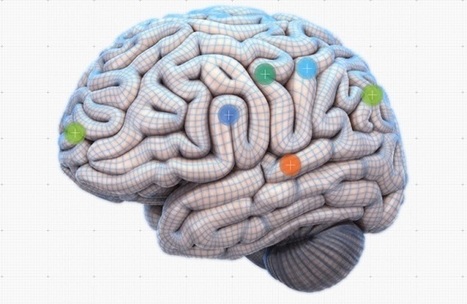 Neuroeducation: 25 Findings Over 25 Years - InformED | Eclectic Technology | Scoop.it