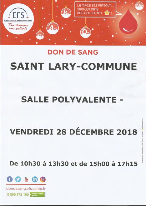 Une collecte de sang réussie à Saint-Lary | Vallées d'Aure & Louron - Pyrénées | Scoop.it