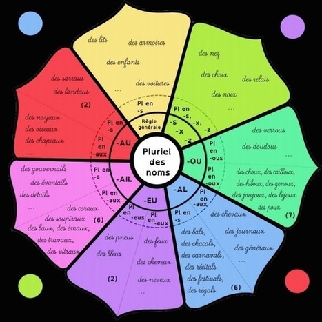 Le pluriel des noms | Français, langue d'enseignement | Scoop.it