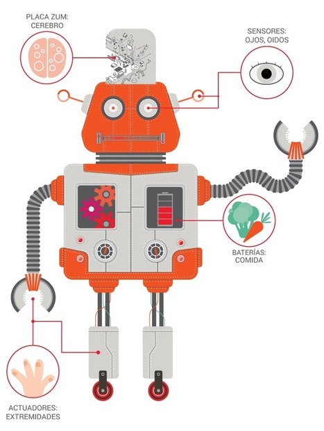 ¿Qué es un robot? Conociendo los sensores y actuadores | DIWO | tecno4 | Scoop.it