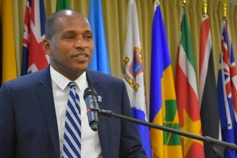 Internet exchange points critical to Caribbean digital economy | Dominica News Online | Commonwealth of Dominica | Scoop.it