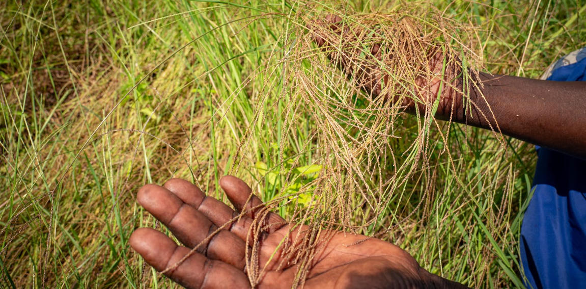 ALIMENTATION : Comment la crise d’Ormuz m...