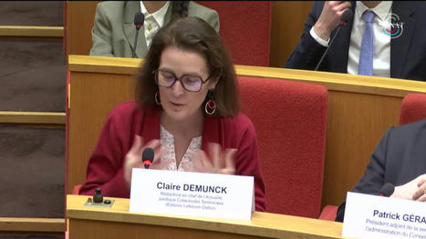 Normes d&eacute;brid&eacute;es, &eacute;lus emp&ecirc;ch&eacute;s | Veille juridique du CDG13 | Scoop.it