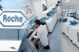 Roche to Develop Companion Diagnostic Test for Dalcetrapi | In-Vitro Diagnostic | Scoop.it