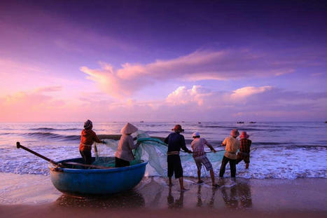 SEAFOOD diets, nutrients threatened by rising GLOBAL heat | CIHEAM Press Review | Scoop.it