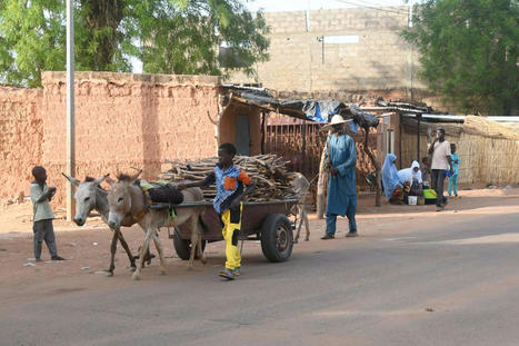 En AFRIQUE, le chaos démocratique aggrave le risque de crise ALIMENTAIRE | CIHEAM Press Review | Scoop.it