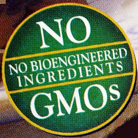 Monsanto's Power Grab: Genetically Engineered Foods Given Immunity From the Federal Government | YOUR FOOD, YOUR ENVIRONMENT, YOUR HEALTH: #Biotech #GMOs #Pesticides #Chemicals #FactoryFarms #CAFOs #BigFood | Scoop.it