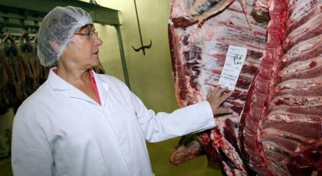 Trafic de viande de cheval. L'abattoir de Laon plaide non coupable | La Gazette des abattoirs | Scoop.it