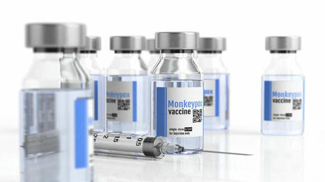 Epidémie de MPox : les autorités sanitaires françaises ne recommandent pas de vaccination aux personnes voyageant dans les pays à risque | sida | Scoop.it