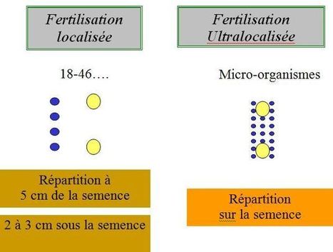 La fertilisation en agriculture avec les engrais starter. Blog sur l'agriculture nouvelle et ses enjeux | Agriculture Nouvelle | Innovation Agro-activités et Bio-industries | Scoop.it