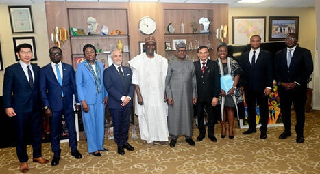 Nig&eacute;ria : "Dangote obtient plus de 500 millions d'euros pour son expansion dans les engrais" | Revue de Presse Afrique & PMO anglophone ou lusophone par service international de CCI Normandie | Scoop.it