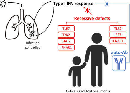 Recessive inborn errors of type I IFN immunity in children with COVID-19 pneumonia | Journal of Experimental Medicine | Rockefeller University Press | Immunology | Scoop.it