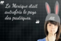 Les perles du Bac | POURQUOI PAS... EN FRAN&Ccedil;AIS ? | Scoop.it