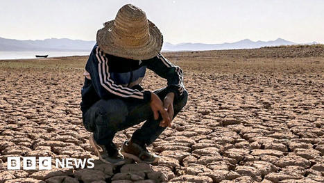 Morocco drought: Satellite images show vital Al Massira reservoir is shrinking | Questions de développement ... | Scoop.it