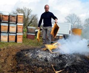 L'apiculteur brûle ses abeilles décimées | EntomoNews | Scoop.it