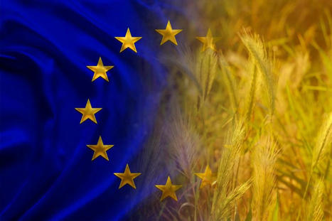 Discord impacting EU grain, feed industries | World Grain | MED-Amin network | Scoop.it