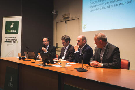 Trois semenciers fran&ccedil;ais unissent leurs forces avec Sofiprot&eacute;ol et le soutien de la fili&egrave;re ol&eacute;oprot&eacute;agineuse pour acc&eacute;l&eacute;rer la culture du pois | ITERG - Veille sectorielle | Scoop.it