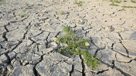 Sécheresse : la "crise de l'eau" concerne déjà un quart de la population mondiale | Biodiversité | Scoop.it