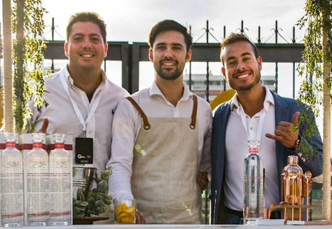 Emprendedores andaluces crean el gin tonic bajo en alcohol y en calorías – | Todo sobre GinTonics | Scoop.it