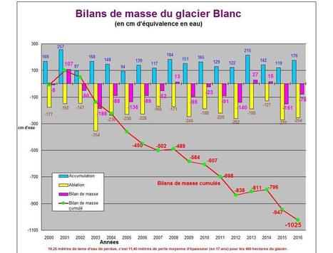 Glacier Blanc : encore un bilan à la négative | Biodiversité | Scoop.it