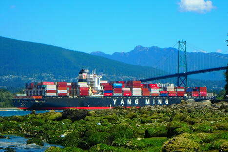 In Trump’s Trade War, It’s Advantage China | by Mel Gurtov | CounterPunch.org | Surfing the Broadband Bit Stream | Scoop.it
