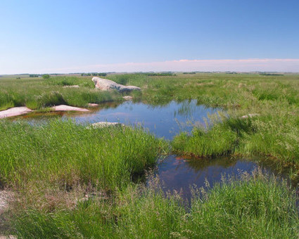 Conserving an Endangered Ecosystem: The Northern Tallgrass Prairie National Wildlife Refuge | U.S. Fish and Wildlife Service Midwest Region | Prairie and Grassland Ecosystems | Scoop.it