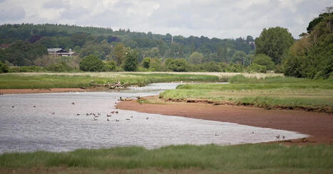 VID&Eacute;O - Redonner sa place &agrave; la nature pour lutter contre les inondations&nbsp;: l'exemple anglais -&nbsp;France 3 R&eacute;gions | Biodiversit&eacute; | Scoop.it