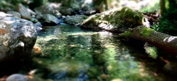 Économiser l’eau pour un tourisme durable et responsable   | Tourisme durable | Scoop.it