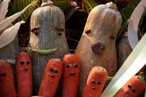 Uno, due, tre... vasi: ed ecco l’orto per bambini! | Orto, Giardino, Frutteto, Piante Innovative e Antiche Varietà | Scoop.it