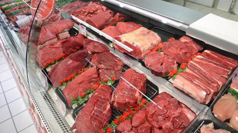 Plafond de verre pour le prix de la viande bovine : mythe ou réalité ? | Actualité Bétail | Scoop.it
