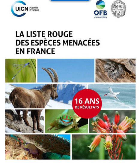 Liste rouge des espèces menacées en France : 16 ans de résultats | Biodiversité | Scoop.it