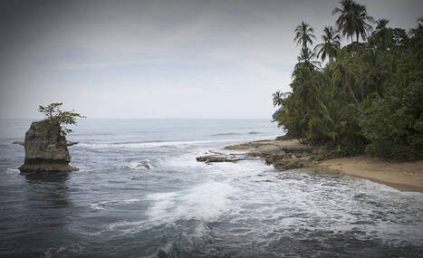 Mystinen &auml;&auml;ni meress&auml; ihmetytt&auml;&auml; tiedemiehi&auml; - kuuluu avaruuteen asti | 1Uutiset - Lukemisen t&auml;hden | Scoop.it