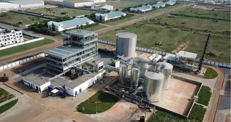 Bunge lance au Ghana la plus grande usine de beurre de karité... mais quid de l'emploi et du producteur ? | ITERG - Veille sectorielle | Scoop.it