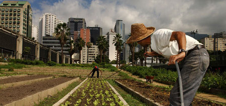 Organisation des Nations Unies pour l'alimentation et l'agriculture: L’agriculture urbaine | Economie Responsable et Consommation Collaborative | Scoop.it