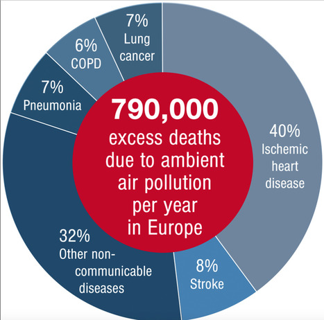 Cardiovascular disease burden from ambient air pollution in Europe reassessed using novel hazard ratio functions - European Heart Journal  | Medici per l'ambiente - A cura di ISDE Modena in collaborazione con "Marketing sociale". Newsletter N°34 | Scoop.it