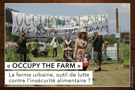 « Occupy the Farm » : La ferme urbaine, outil de lutte contre l’insécurité alimentaire ? | L'ECHO DEMETER | Scoop.it