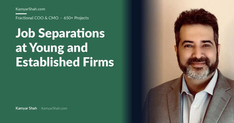 Separations by Firm Age: 0 to 1 vs 11+ Years (2024 to 2025) | Tampa Florida Business Strategy | Scoop.it