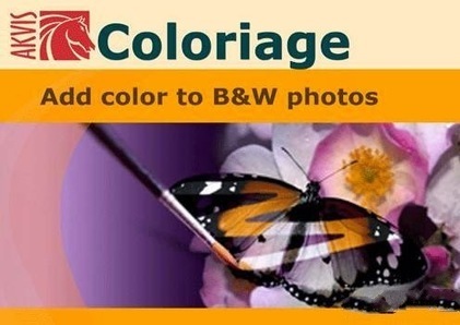 Colorizing Colorizing