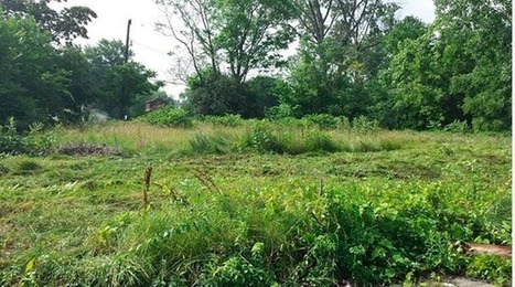 A 140-Acre Forest Is About to Materialize in the Middle of Detroit | Cities of the World | Scoop.it