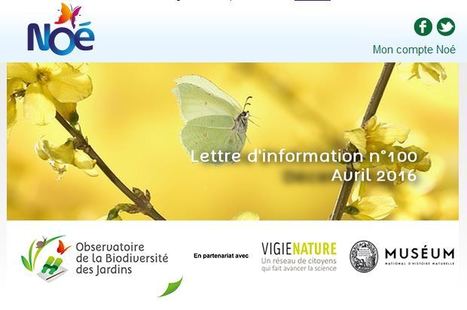 Noé : Lettre d'information avril 2016 | Biodiversité | Scoop.it